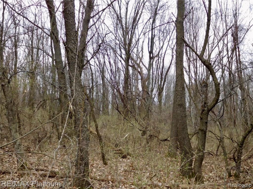 0 West Buno Road Milford, MI 48381 - Photo 15 of 28