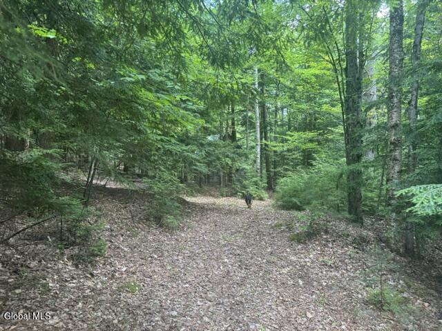 317 Waddell Road Johnsburg, NY 12853 - Photo 5 of 19 IMG_3620