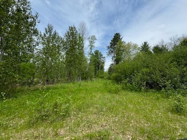 4728 Club Road Indian River, MI 49749 - Photo 9 of 12 Gallery Image 9