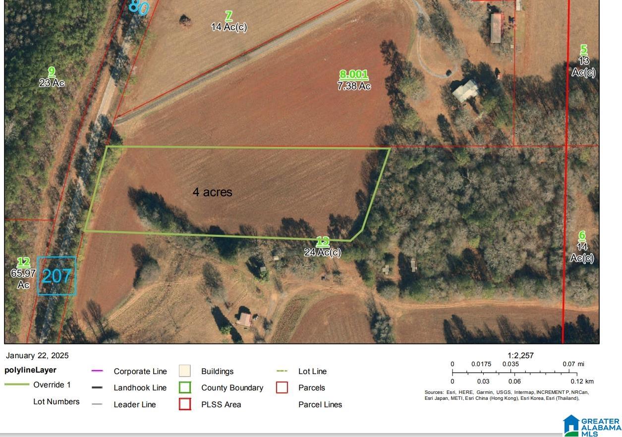 4263 Plantersville Road, Unit LAND 4 ACRES Alpine, AL 35014 - Photo 1 of 1