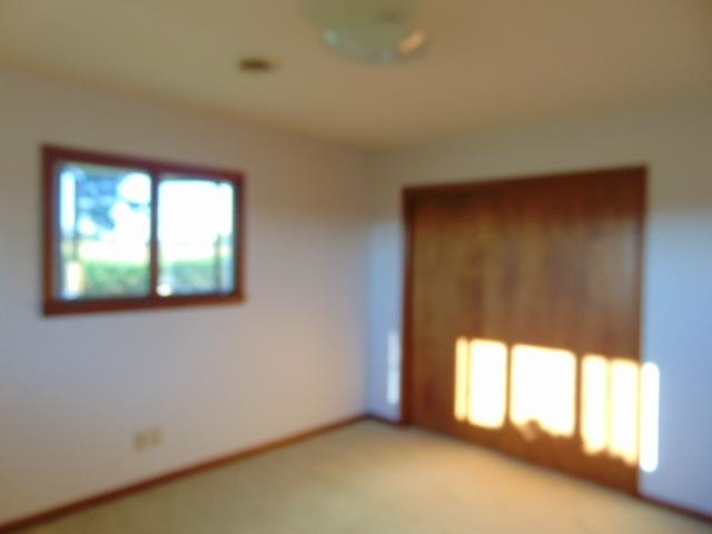 3253 South Alger Road Ithaca, MI 48847 - Photo 35 of 61 1892394-36.JPG