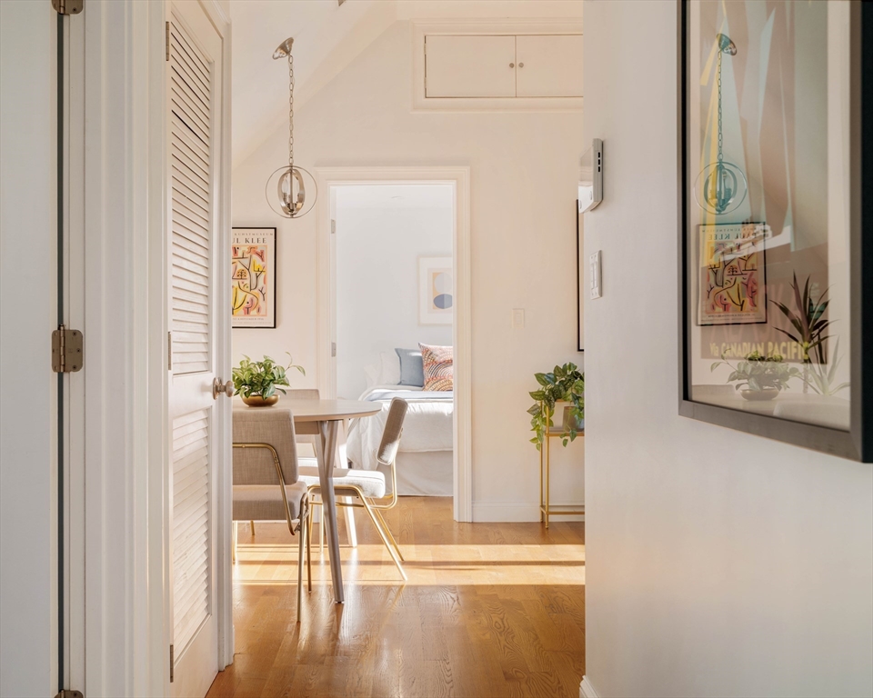 59 Berkeley Street, Unit 3 Somerville, MA 02143 - Photo 5 of 18 a view of a dining room with furniture and a potted plant