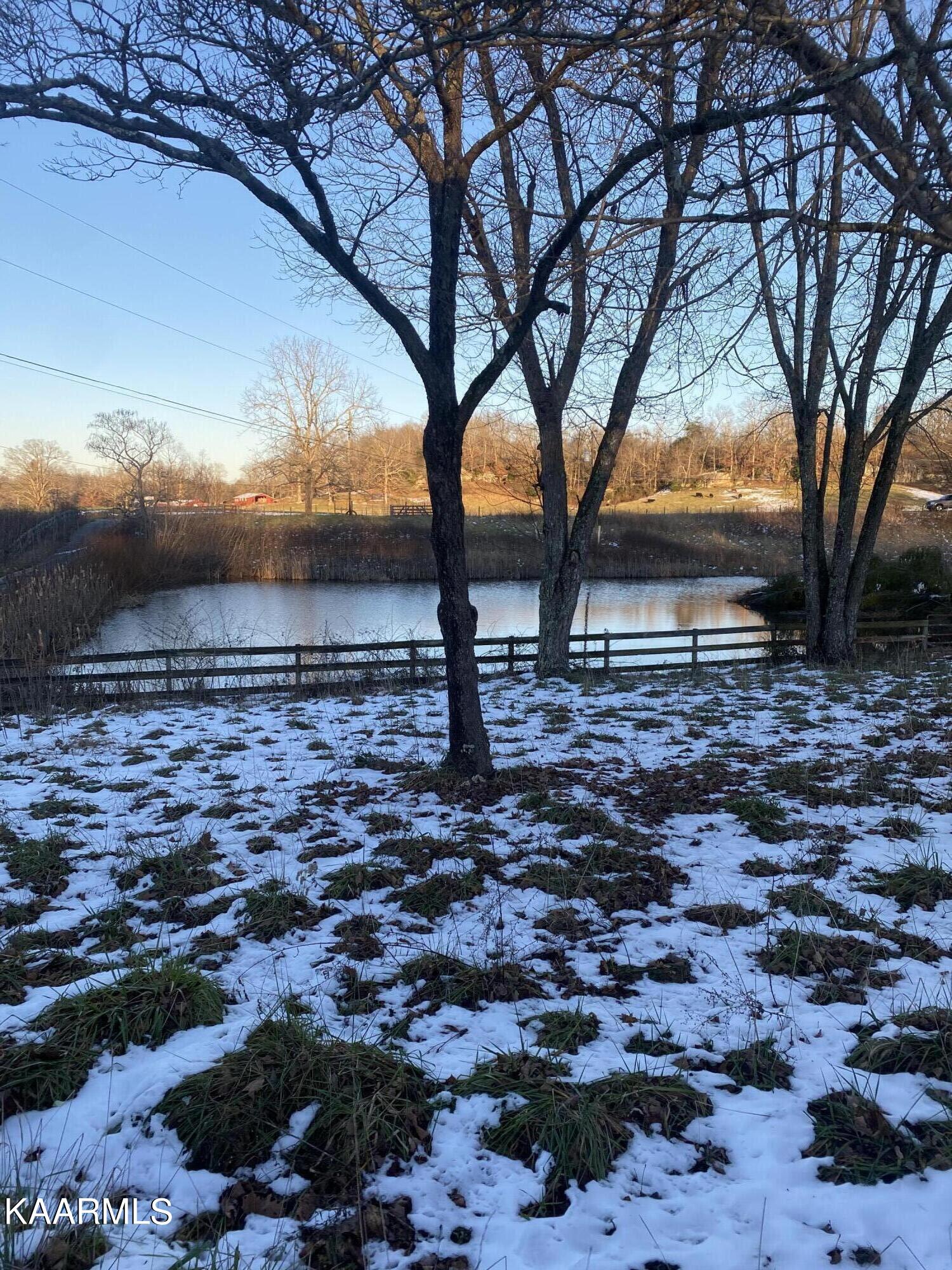 693 Creston Road Crossville, TN 38571 - Photo 17 of 21 Pond 1