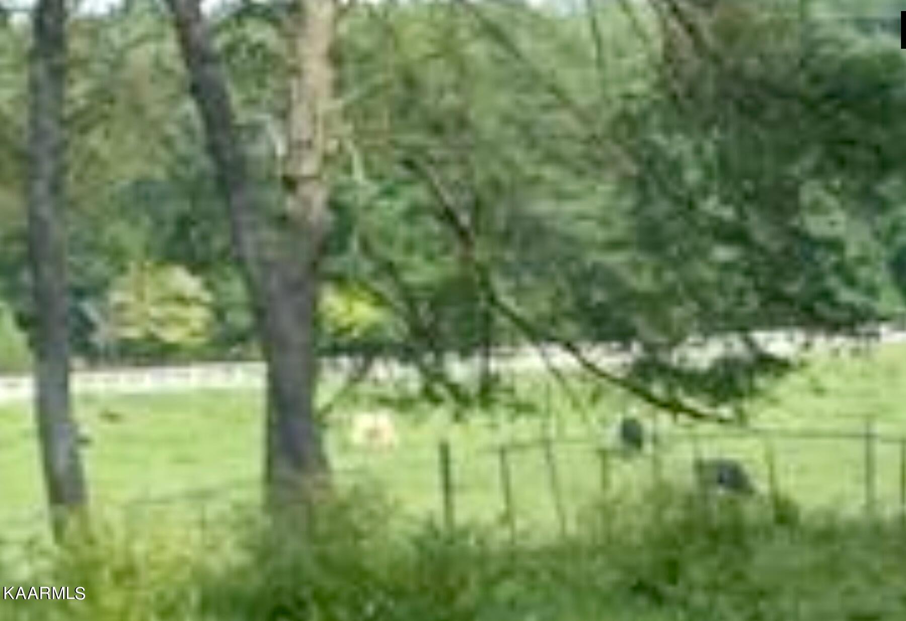 693 Creston Road Crossville, TN 38571 - Photo 20 of 21 Pasture