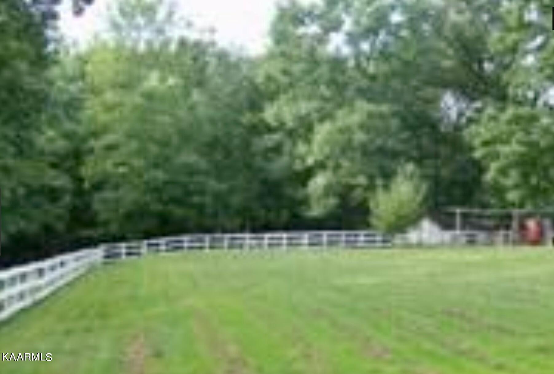 693 Creston Road Crossville, TN 38571 - Photo 6 of 21 Back Yard