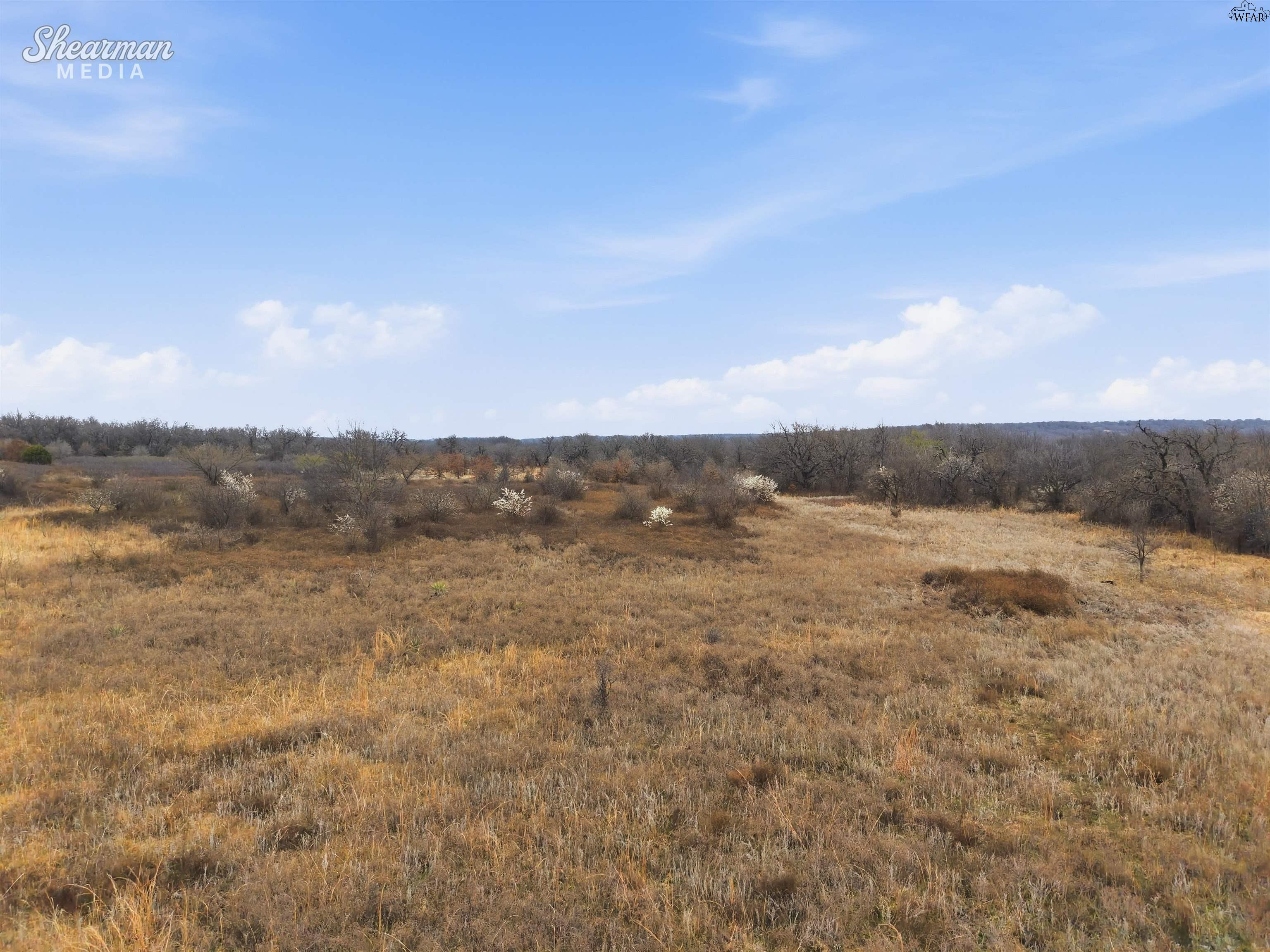 Tbd Reeves Road Jacksboro, TX 76458 - Photo 9 of 24 Gallery Image 9