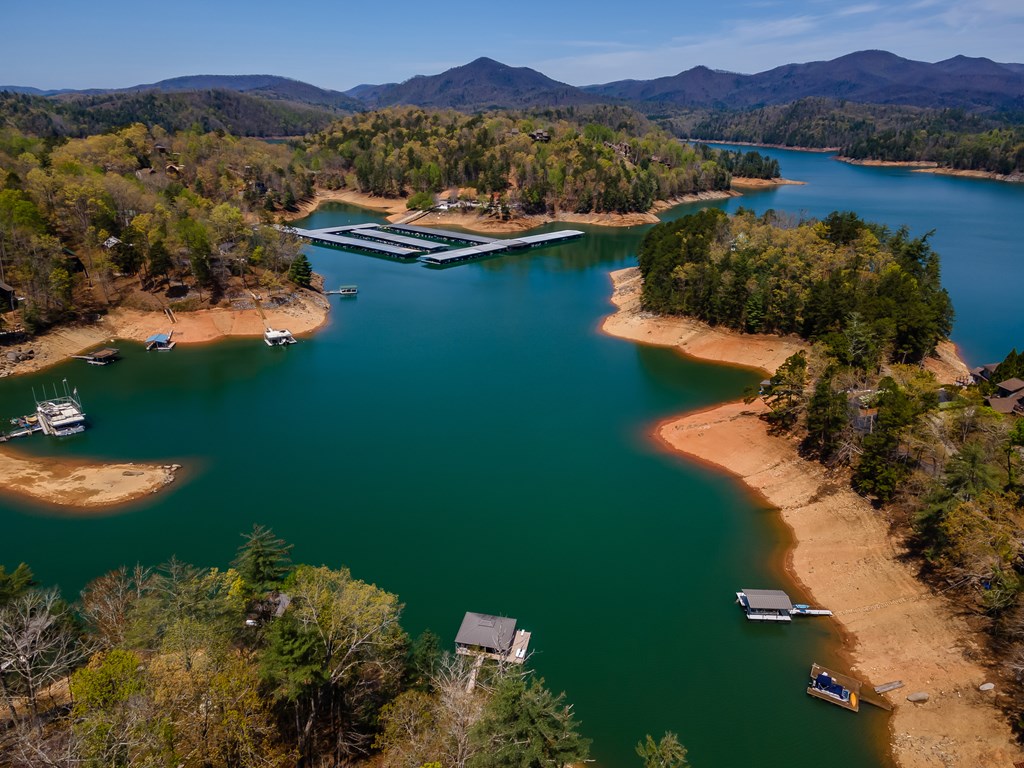 1227 Village Road Murphy, NC 28906 - Photo 3 of 49