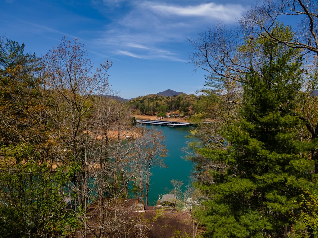 1227 Village Road Murphy, NC 28906 - Photo 4 of 49