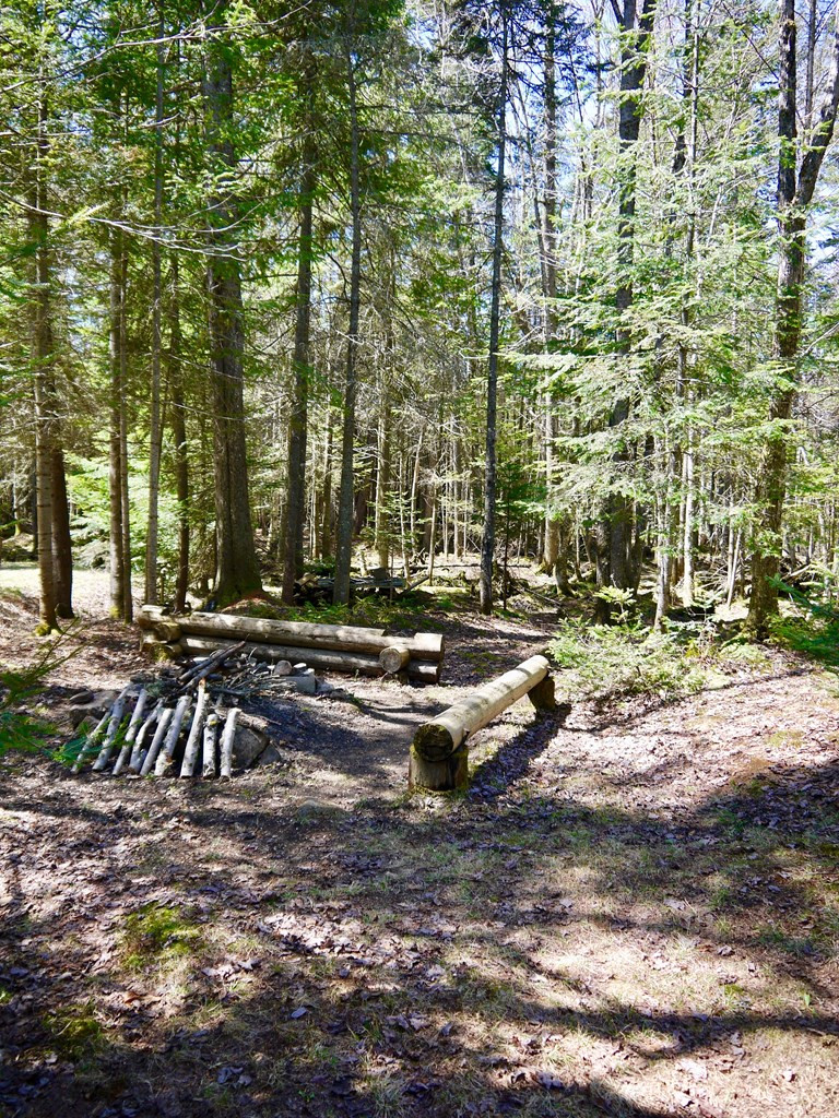 110 Tracy Road Eagle Bay, NY 13331 - Photo 8 of 13 Gallery Image 8