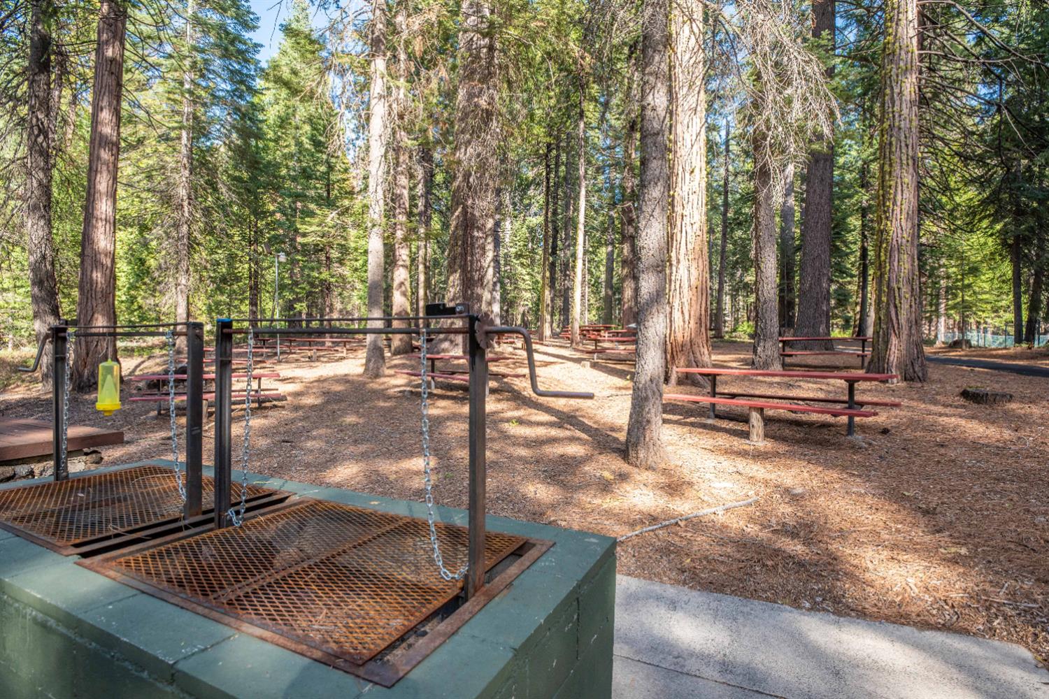 3790 Apache Road Arnold, CA 95223 - Photo 39 of 41 a view of a backyard with sitting area