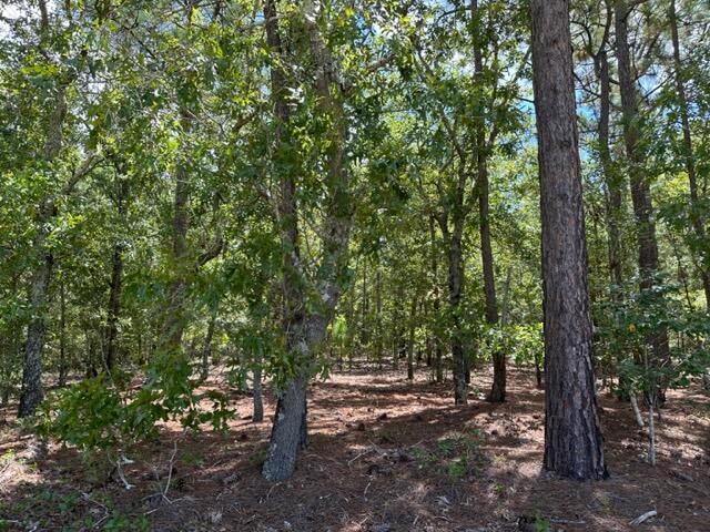 Ninety Ninety 6 Road Neeses, SC 29107 - Photo 5 of 6