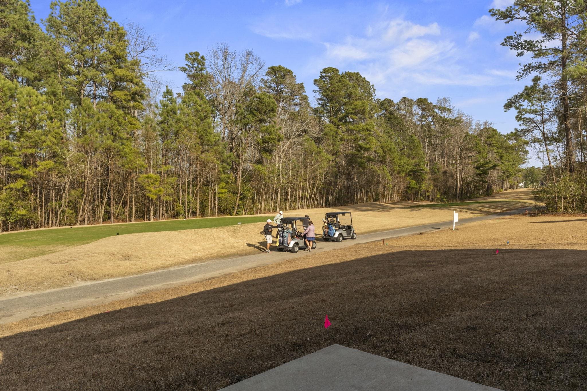 565 Timber Creek Drive Loris, SC 29569 - Photo 33 of 37 Surrounding community featuring a lawn