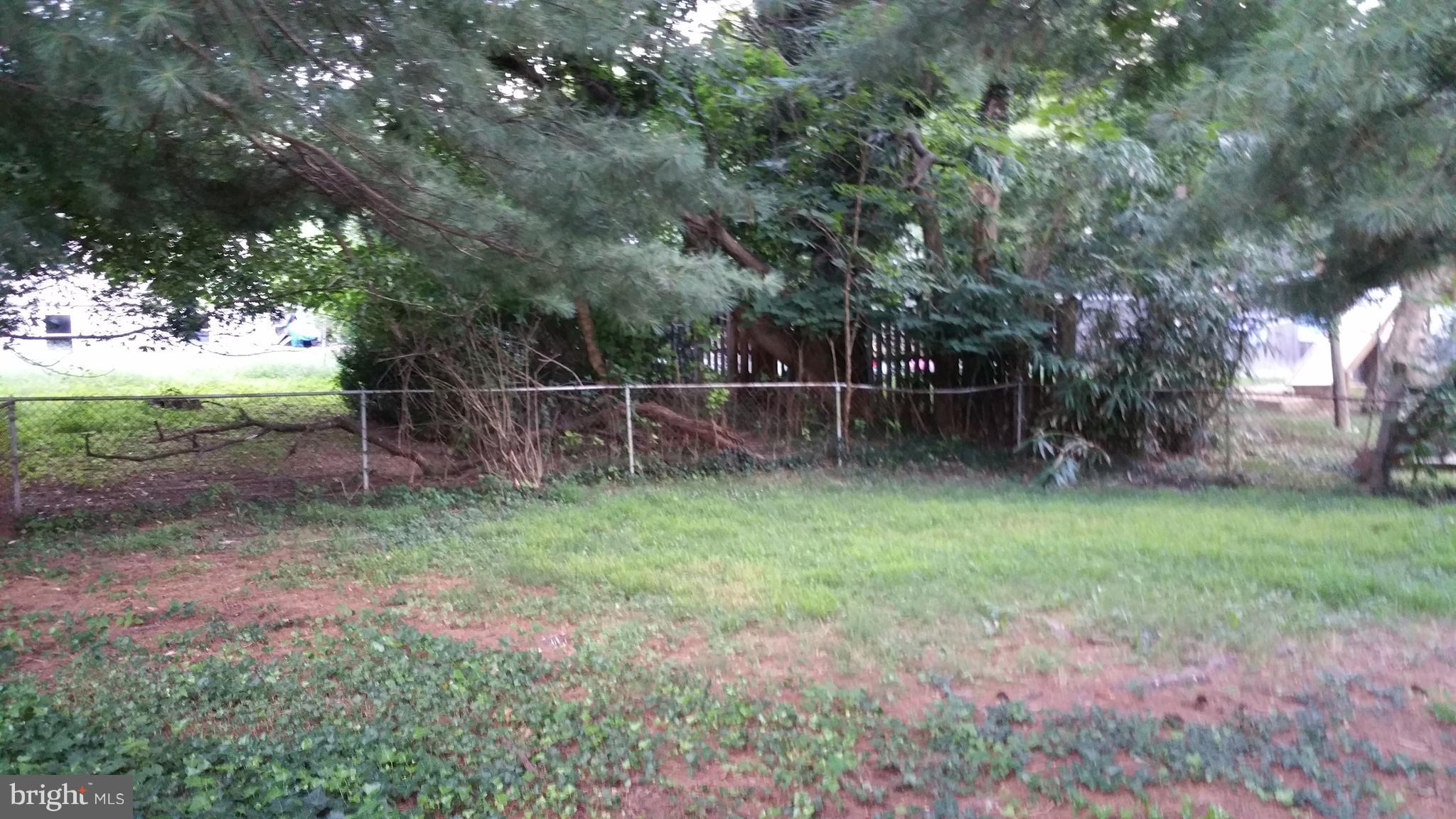 416 Denham Road Rockville, MD 20851 - Photo 25 of 25 Yard