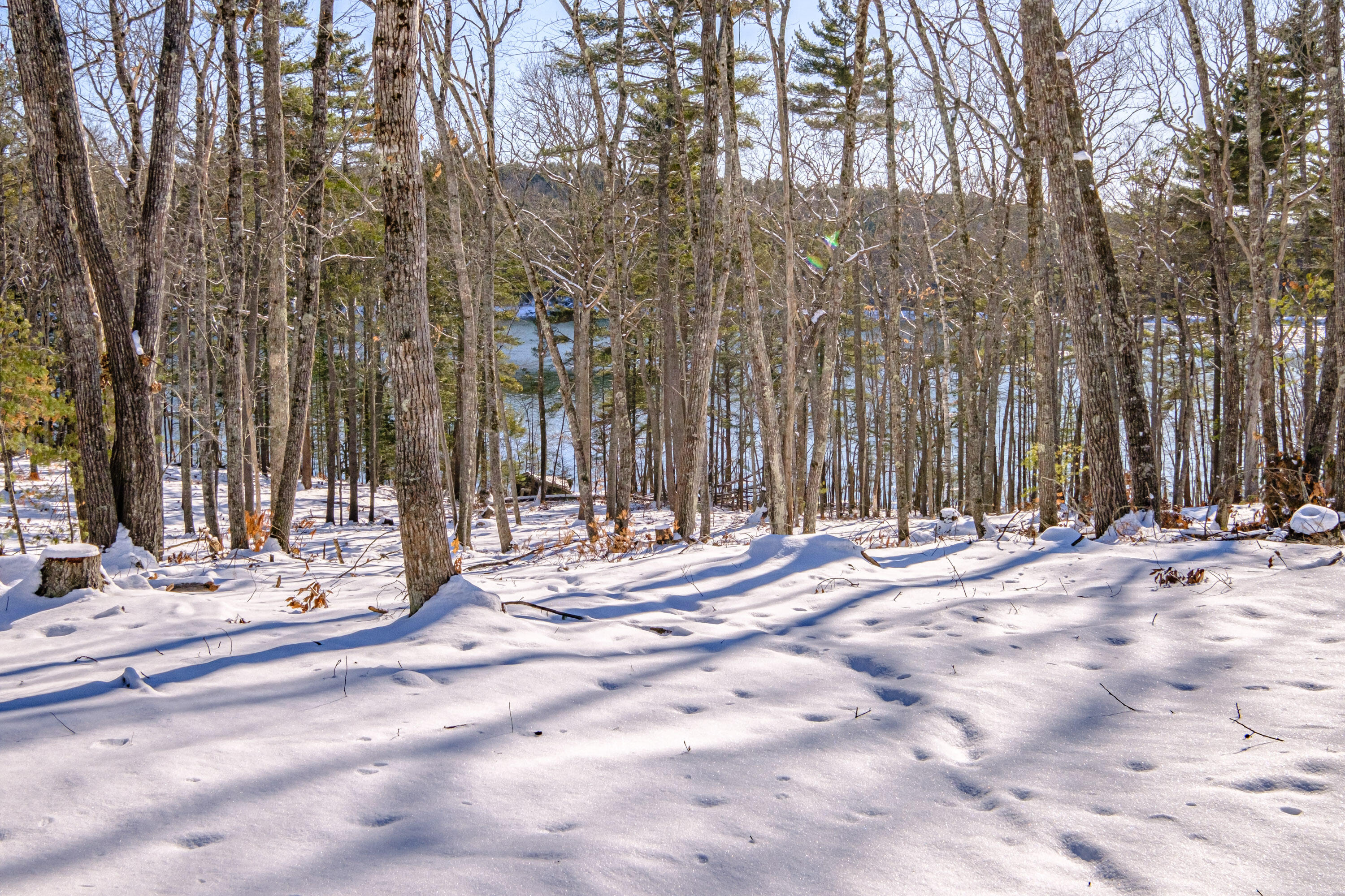 Tbd Brown Road Wiscasset, ME 04578 - Photo 15 of 24 20250130gp-62059