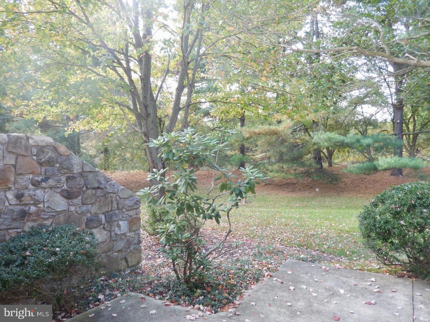 406 Waynesbrooke Road Berwyn, PA 19312 - Photo 3 of 5 Patio