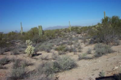 0 South M Bar J Ranch Road Marana, AZ 85658 - Photo 3 of 4