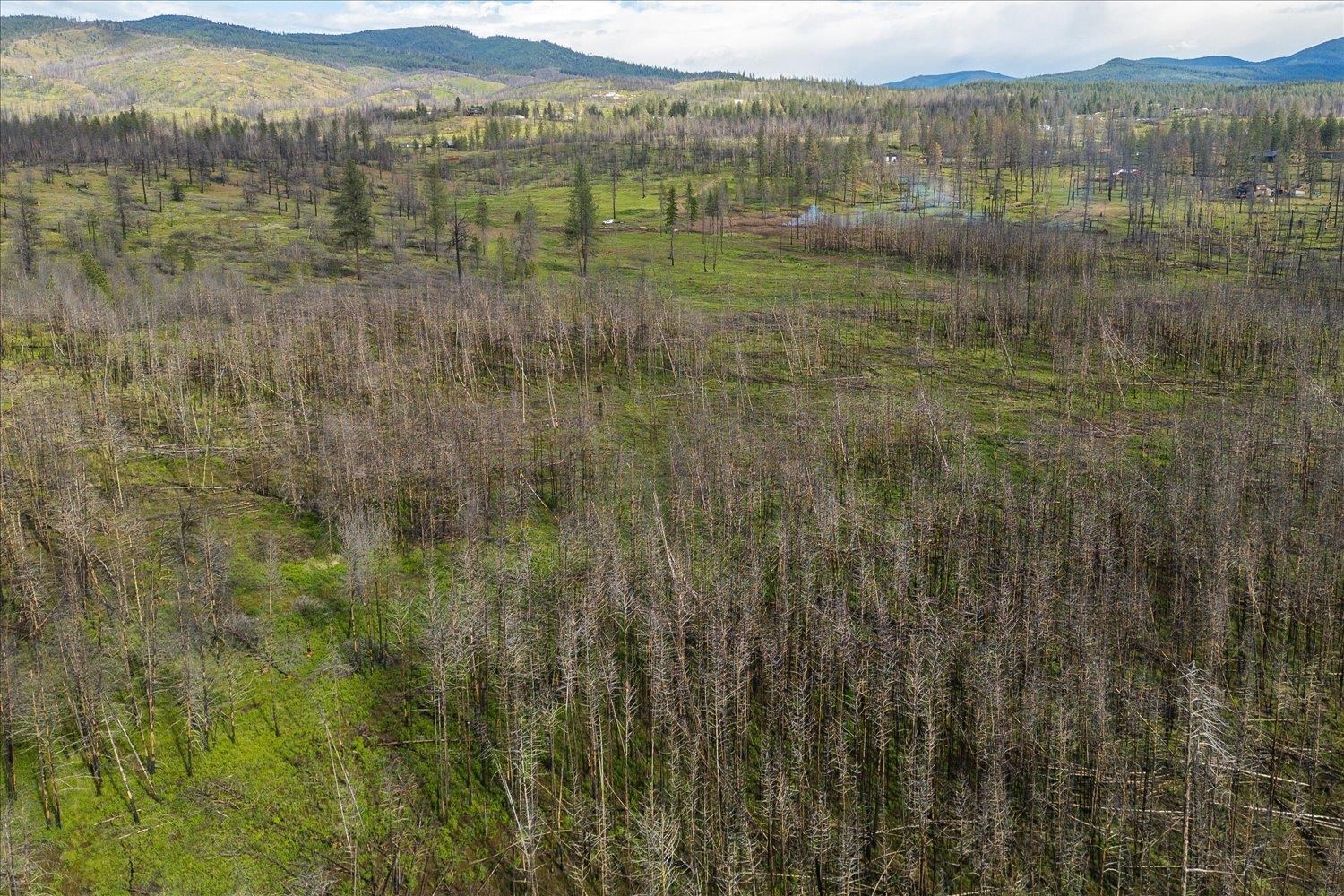 13801 East Bridges Road Elk, WA 99009 - Photo 5 of 5