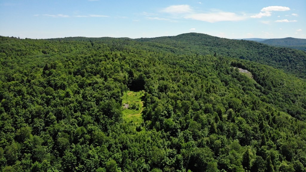 0 East Hawley Road Hawley, MA 01339 - Photo 4 of 5 a view of a lush green forest with a mountain in the background