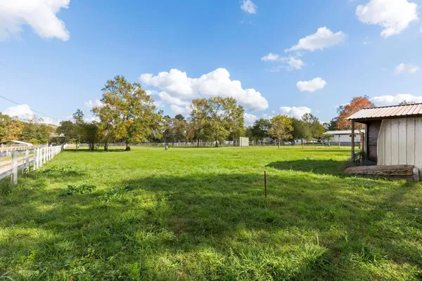 a view of a field with trees