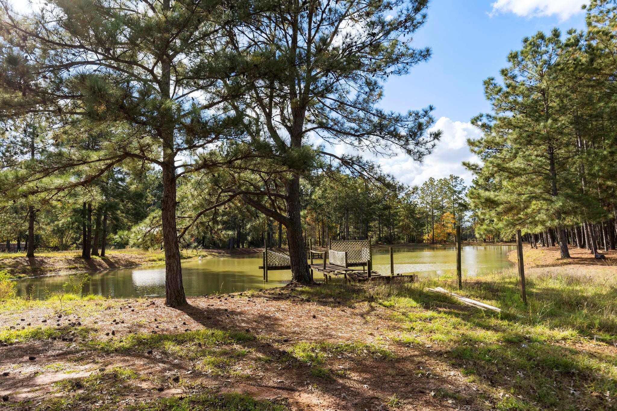 1155 Whipporwill Road Conroe, TX 77303 - Photo 7 of 34