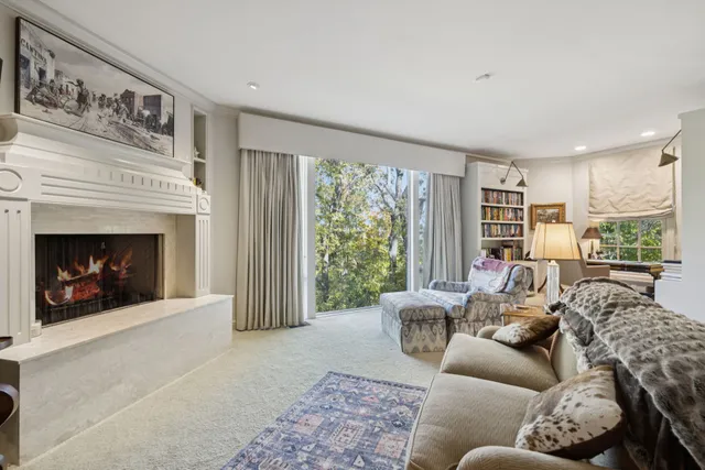 a view of a yard with plants and trees