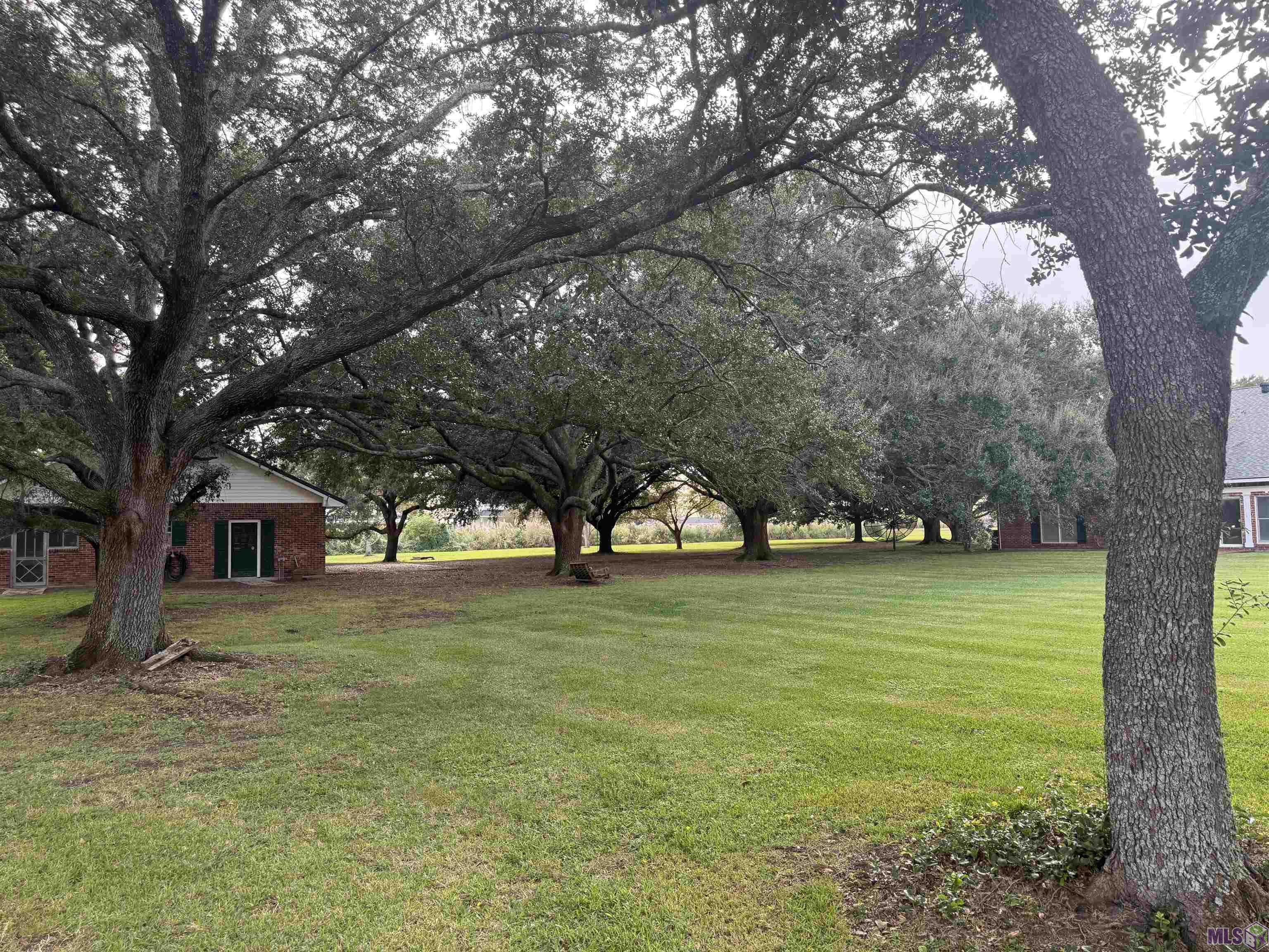 36015 Richland Road White Castle, LA 70788 - Photo 49 of 59