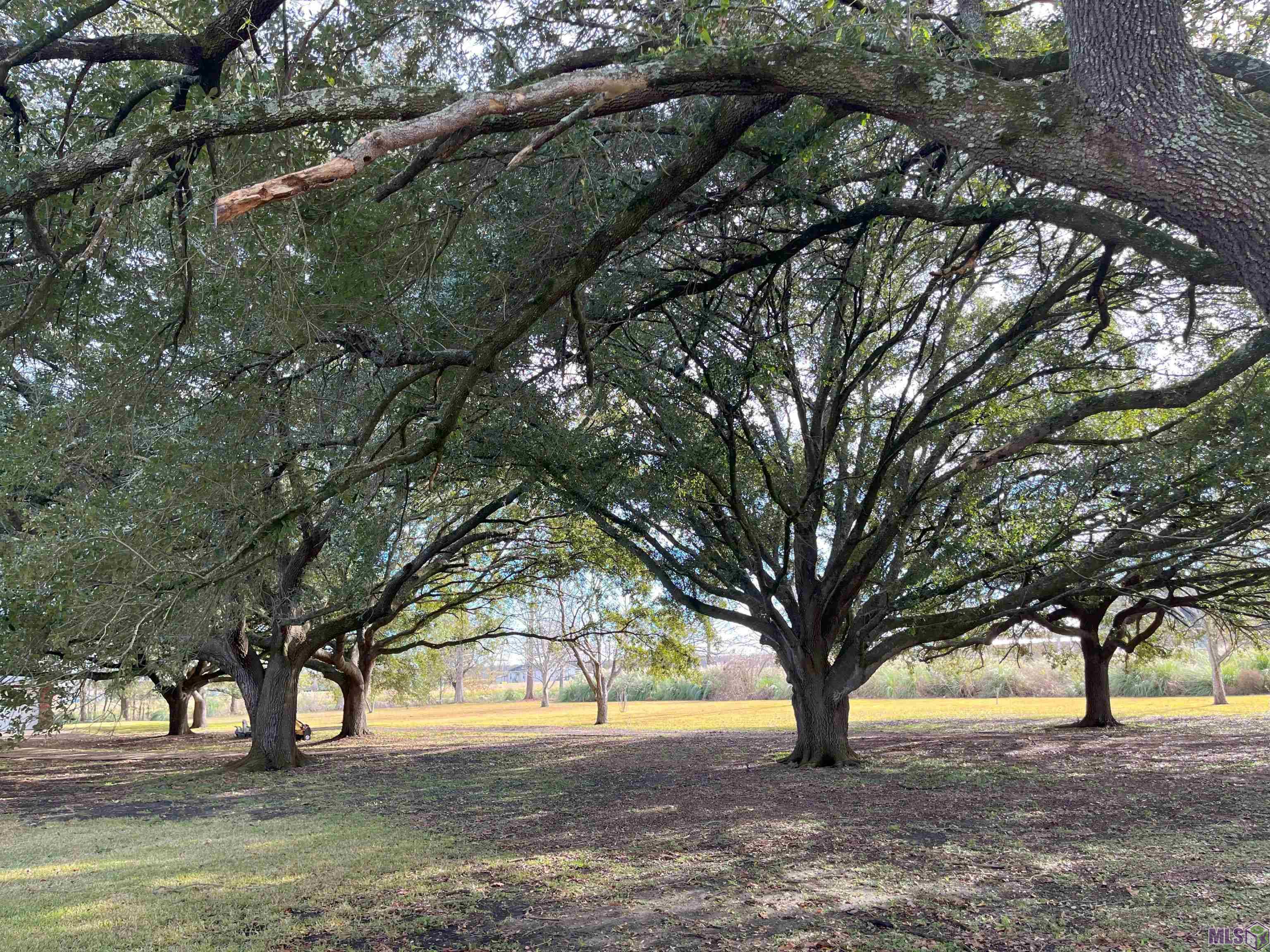 36015 Richland Road White Castle, LA 70788 - Photo 53 of 59