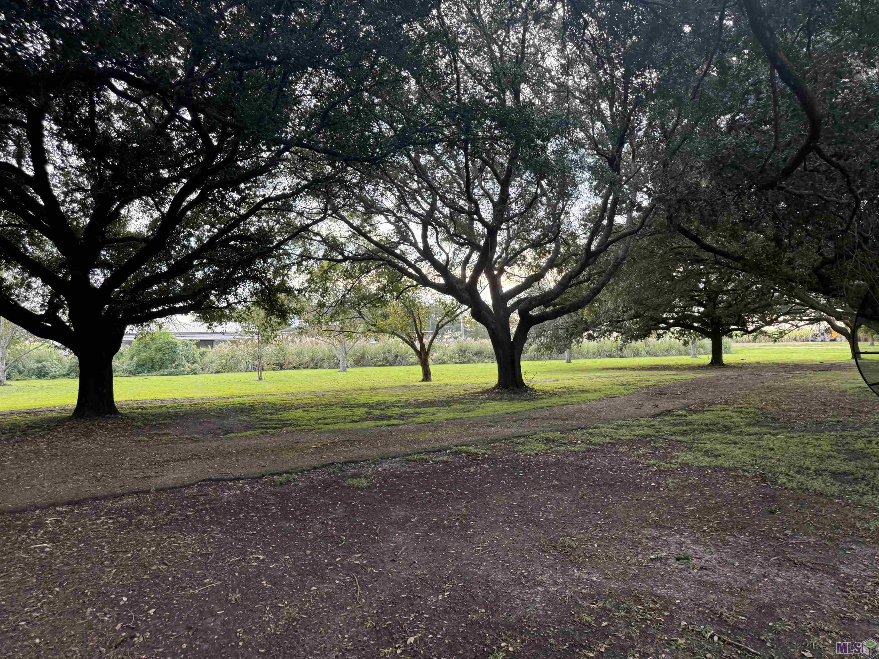 36015 Richland Road White Castle, LA 70788 - Photo 55 of 59