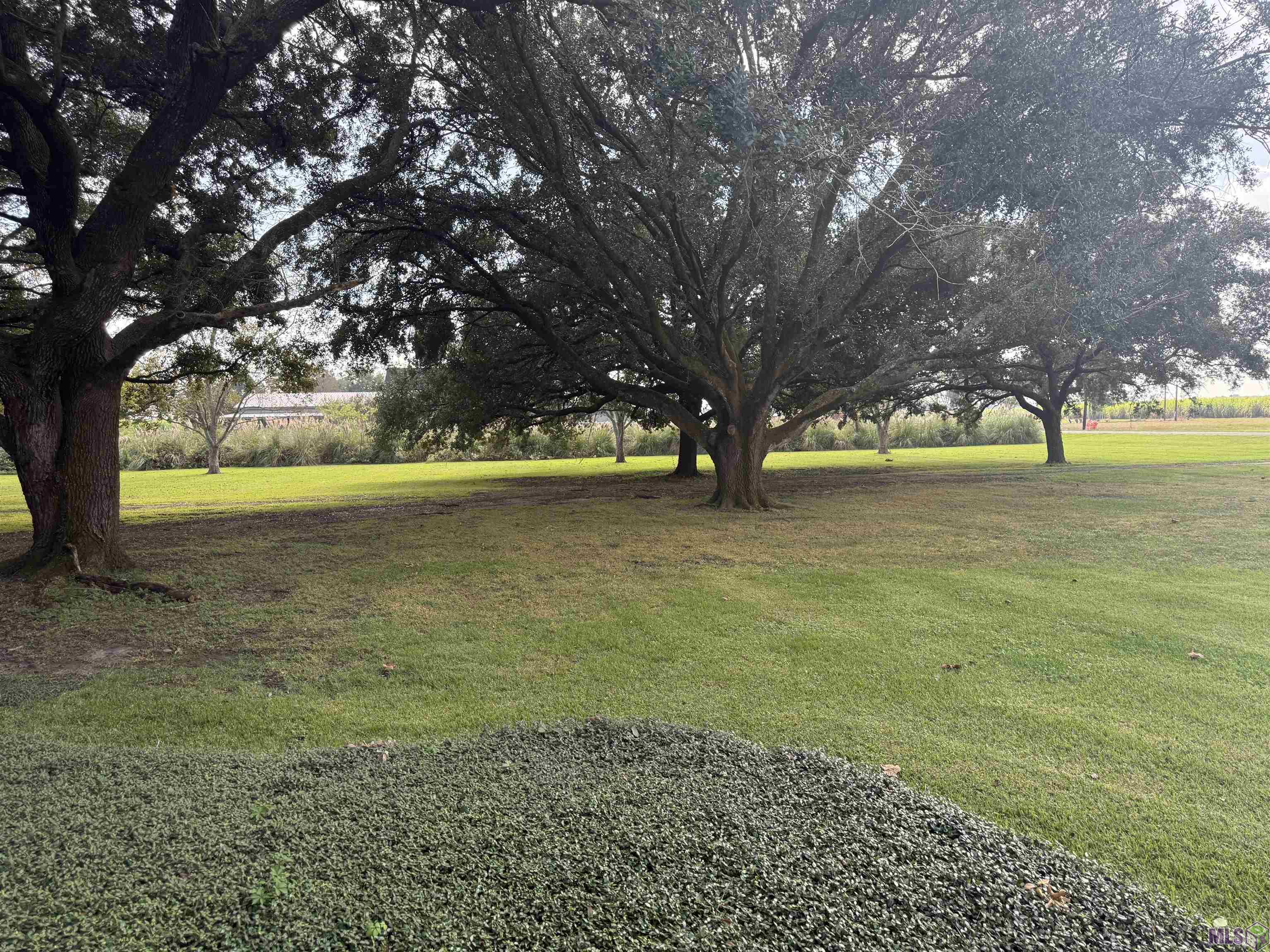 36015 Richland Road White Castle, LA 70788 - Photo 57 of 59