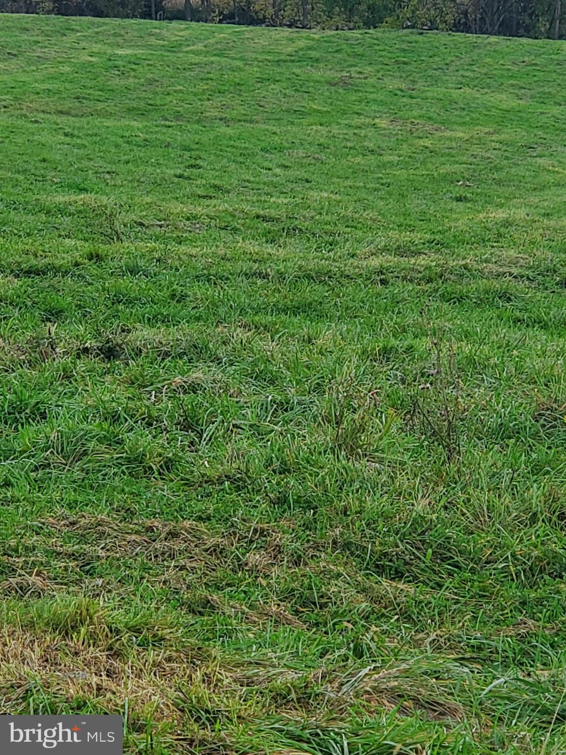 Lot J Chapel Road Middletown, VA 22645 - Photo 3 of 10