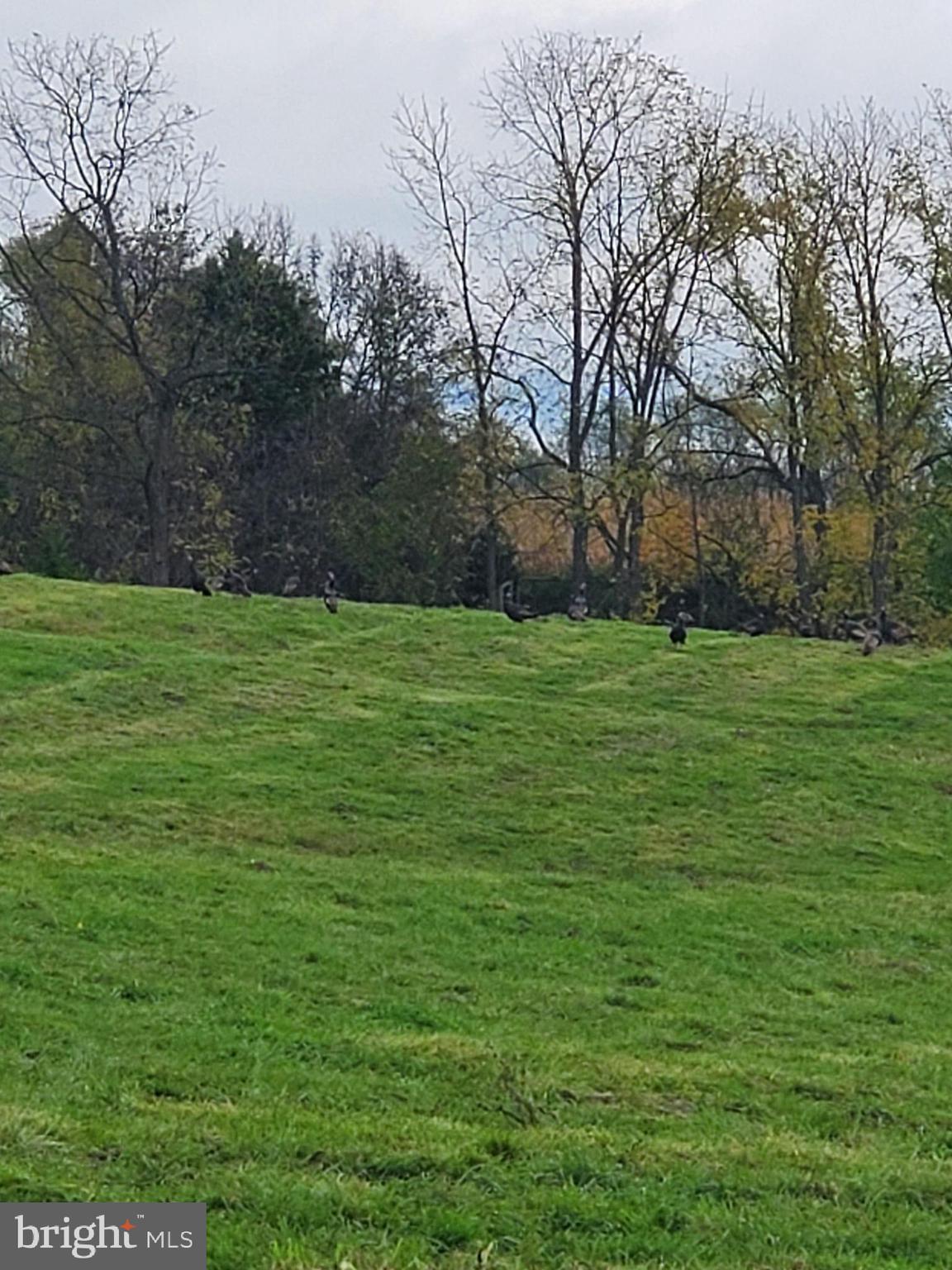 Lot J Chapel Road Middletown, VA 22645 - Photo 4 of 10