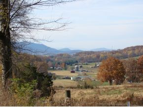 Tbd Mt Wesley Road, Unit 4 Telford, TN 37690 - Photo 3 of 3 View to West