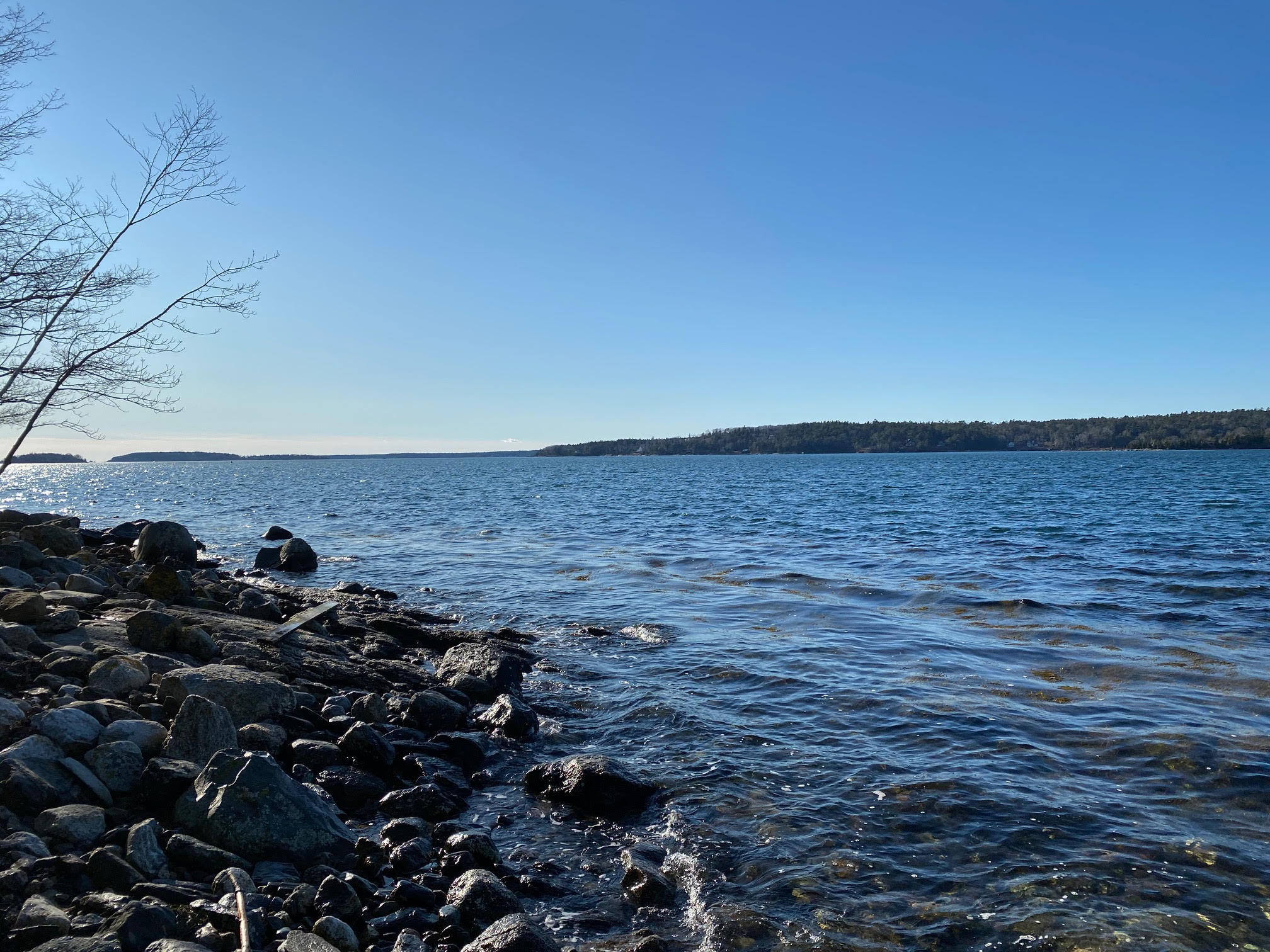 606 Ocean Point Road East Boothbay, ME 04544 - Photo 11 of 12 606 Ocean Point Shorefront