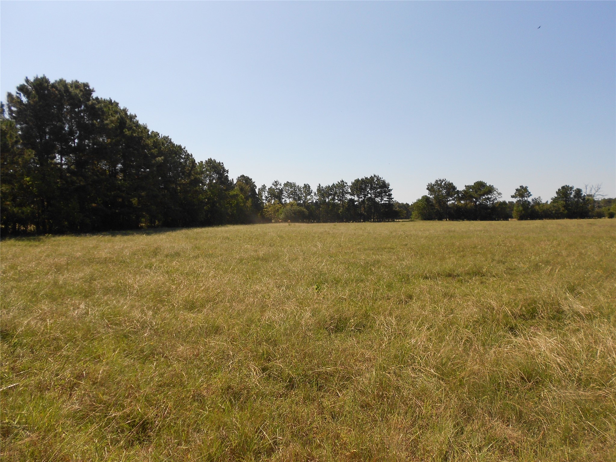 Tbd Turner Street Groveton, TX 75845 - Photo 3 of 10