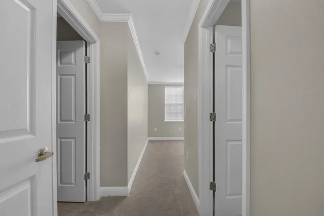 a view of a hallway with closet and door