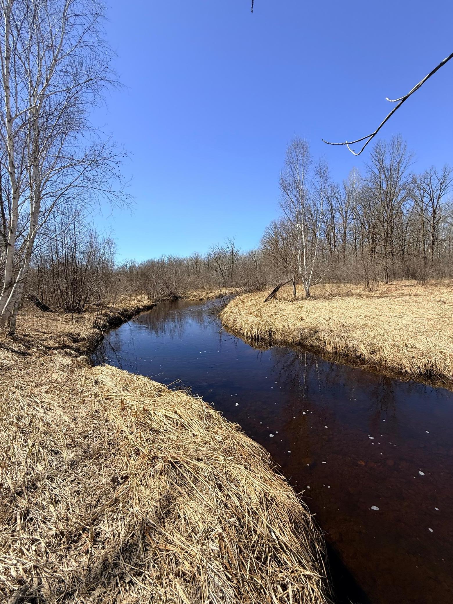 Xxx Rice Road Brook Park, MN 55007 - Photo 14 of 27 Gallery Image 14