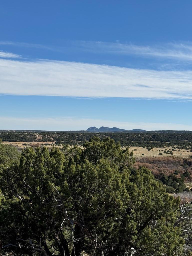 L41 County Road Gardner, CO 81040 - Photo 19 of 31