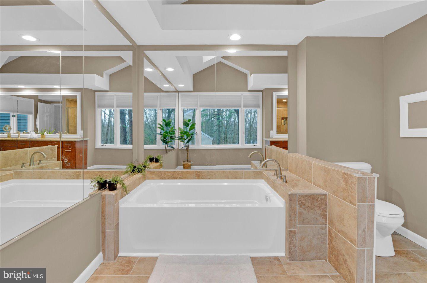 32 Whyte Drive Voorhees, NJ 08043 - Photo 35 of 78 Upgraded contemporary tub.