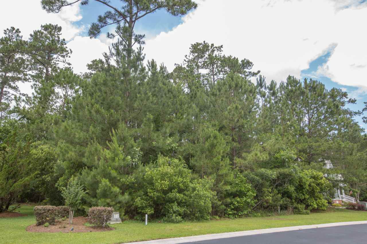 234 Low Country Loop Murrells Inlet, SC 29576 - Photo 3 of 7