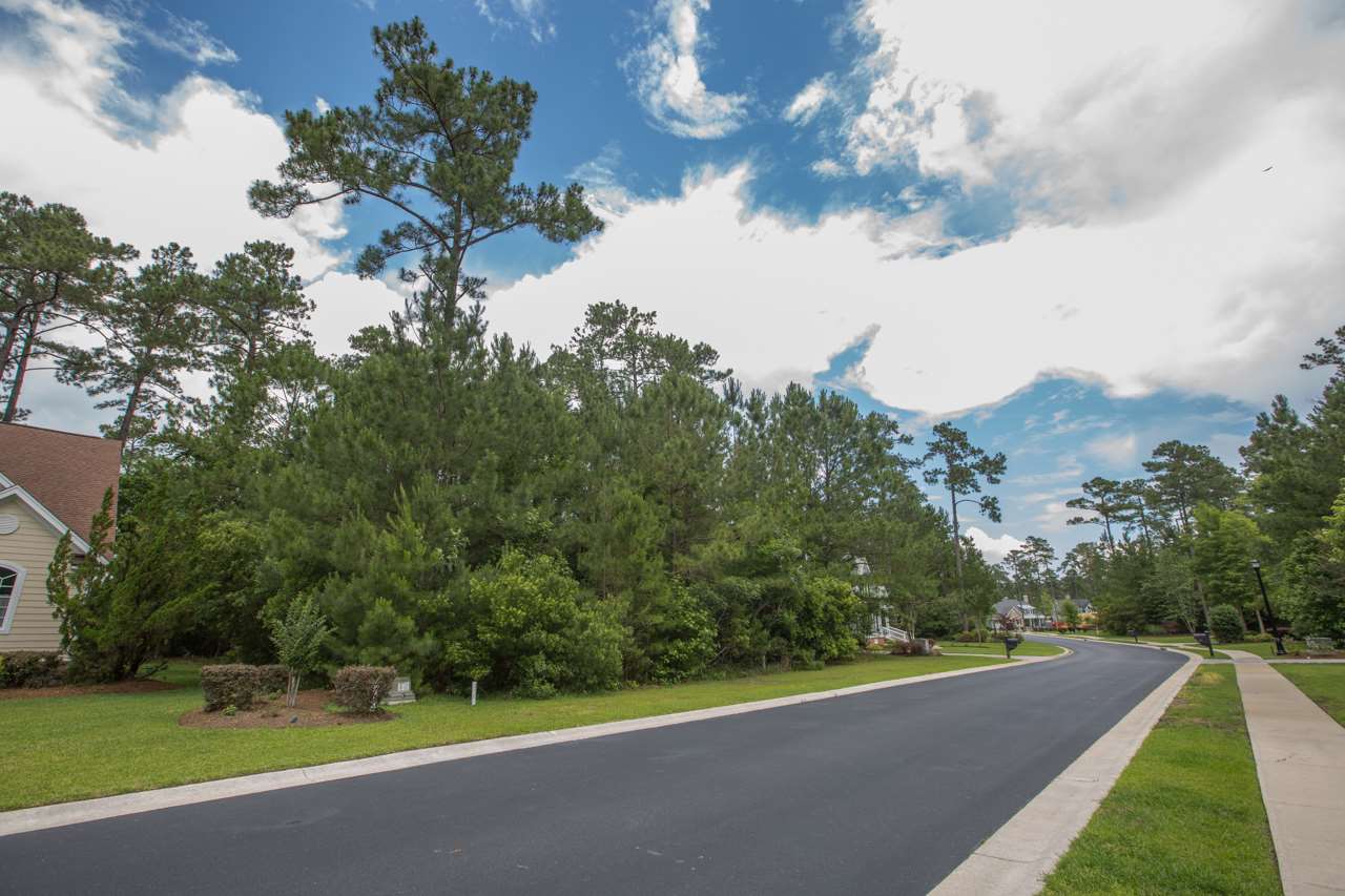 234 Low Country Loop Murrells Inlet, SC 29576 - Photo 4 of 7