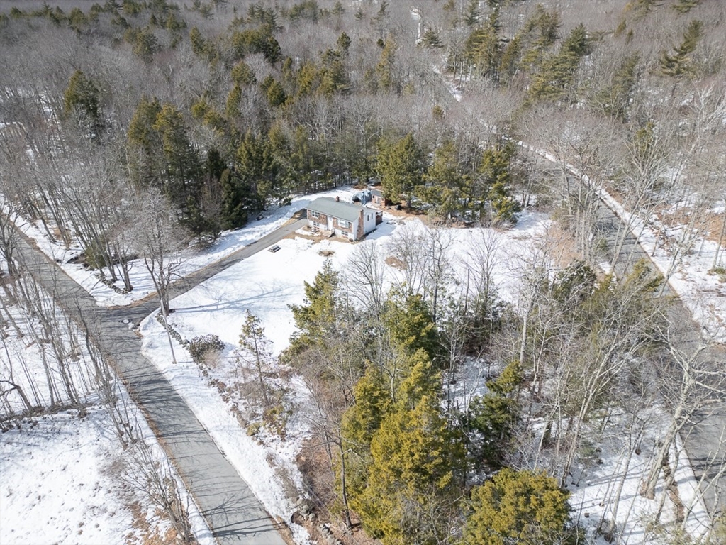 45 Watatic Mountain Road Ashby, MA 01431 - Photo 29 of 31 a view of a yard with large trees