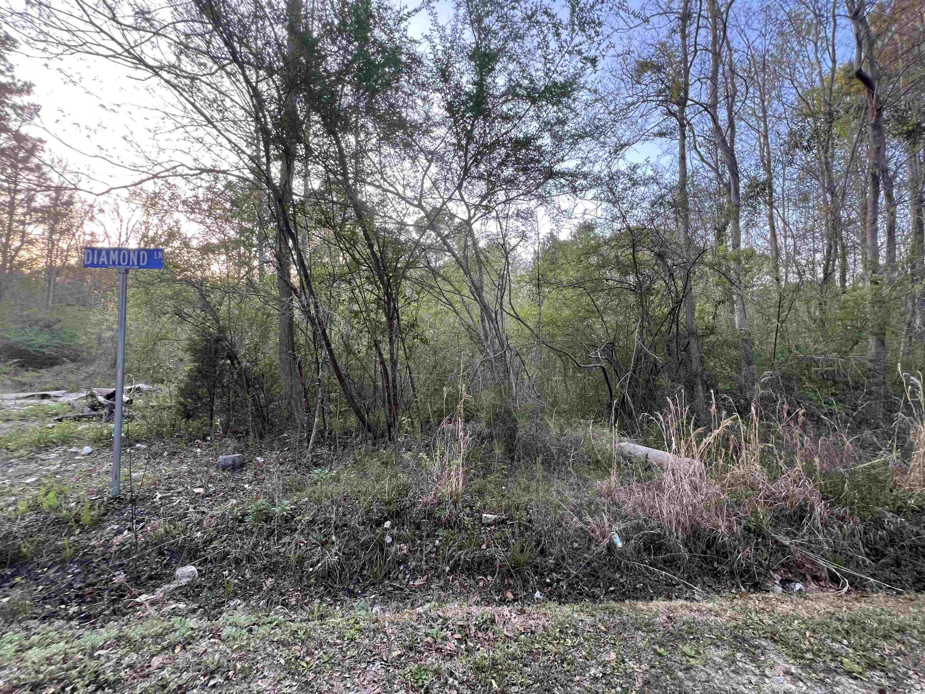 Tbd Foxfire Court Georgetown, SC 29440 - Photo 3 of 5 Gallery Image 3