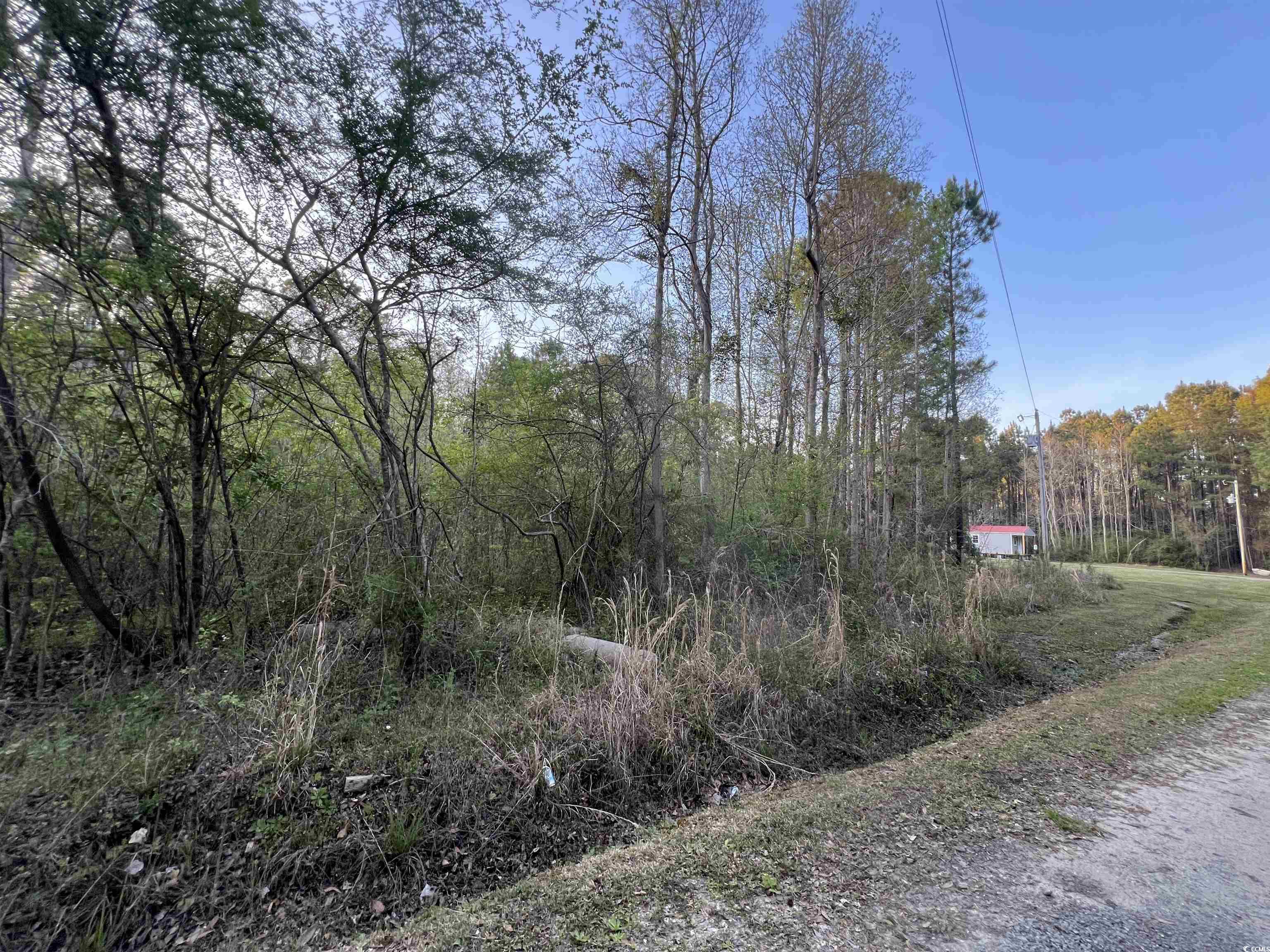 Tbd Foxfire Court Georgetown, SC 29440 - Photo 4 of 5 Gallery Image 4