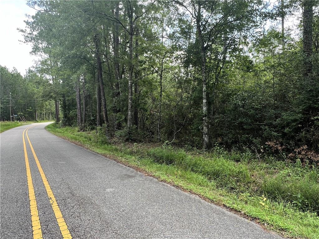 115-acres Watts Thomas Road Bush, LA 70431 - Photo 3 of 5