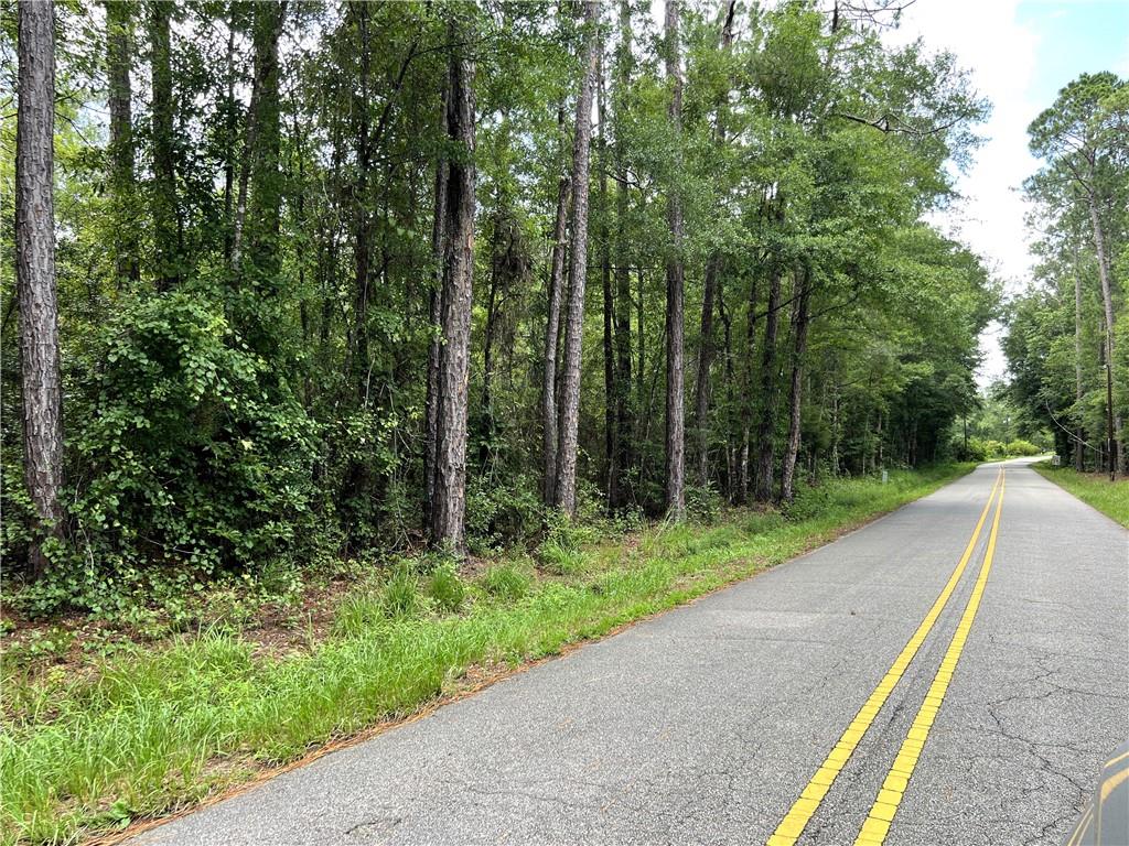 115-acres Watts Thomas Road Bush, LA 70431 - Photo 5 of 5