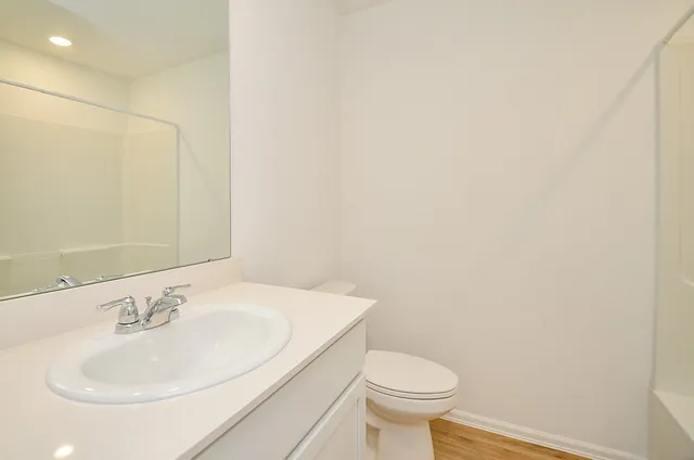 a bathroom with a sink and a toilet