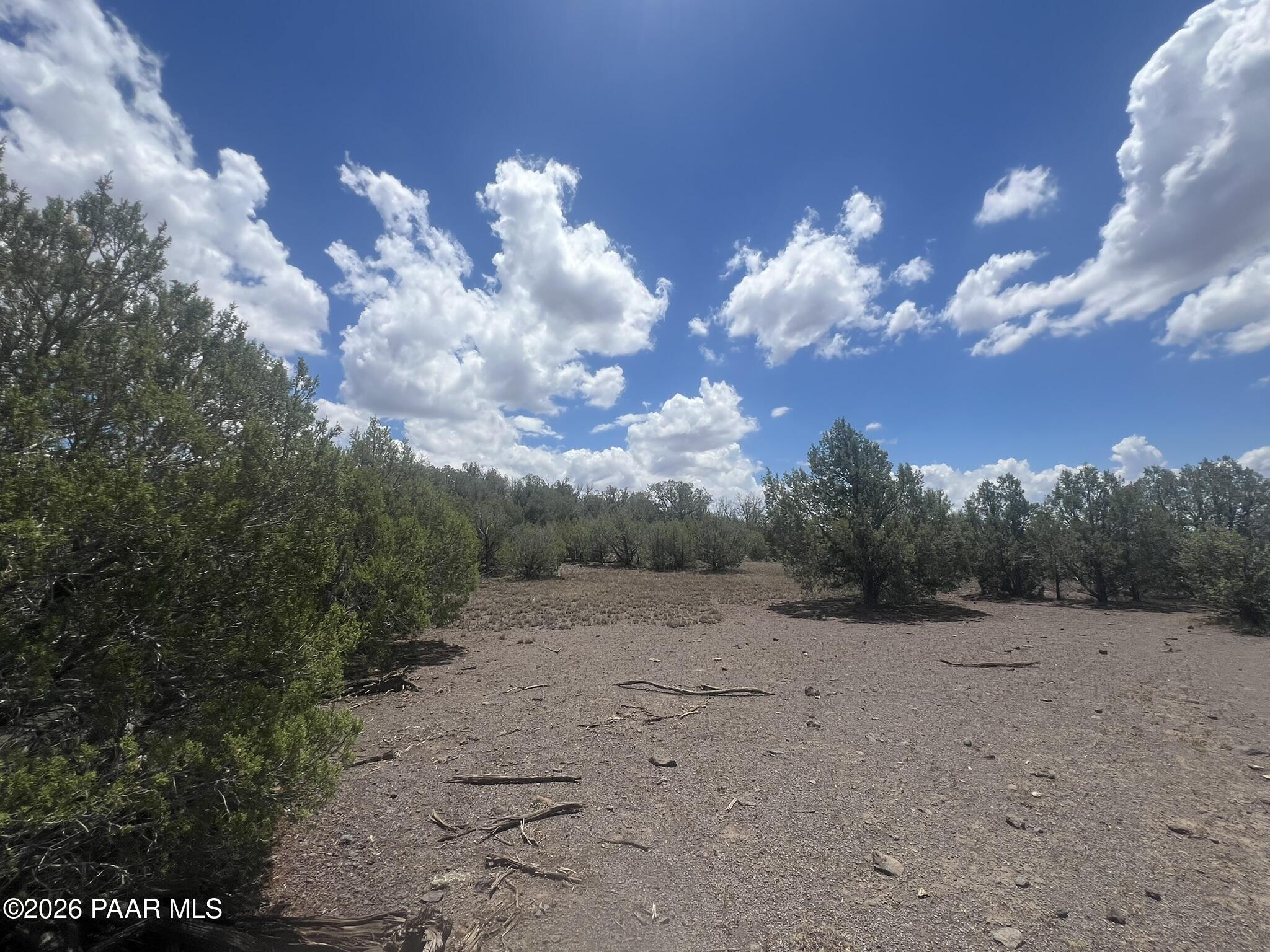 82 Mathis Road Ash Fork, AZ 86320 - Photo 11 of 17 IMG_0368