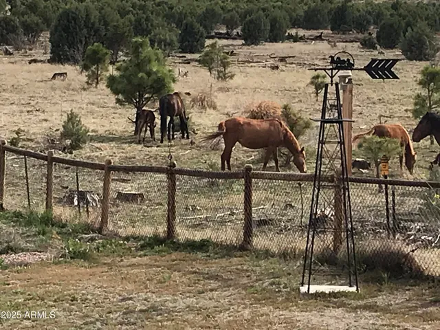$1,150,000 | 2702 Covered Wagon Trail, Overgaard, AZ 85933