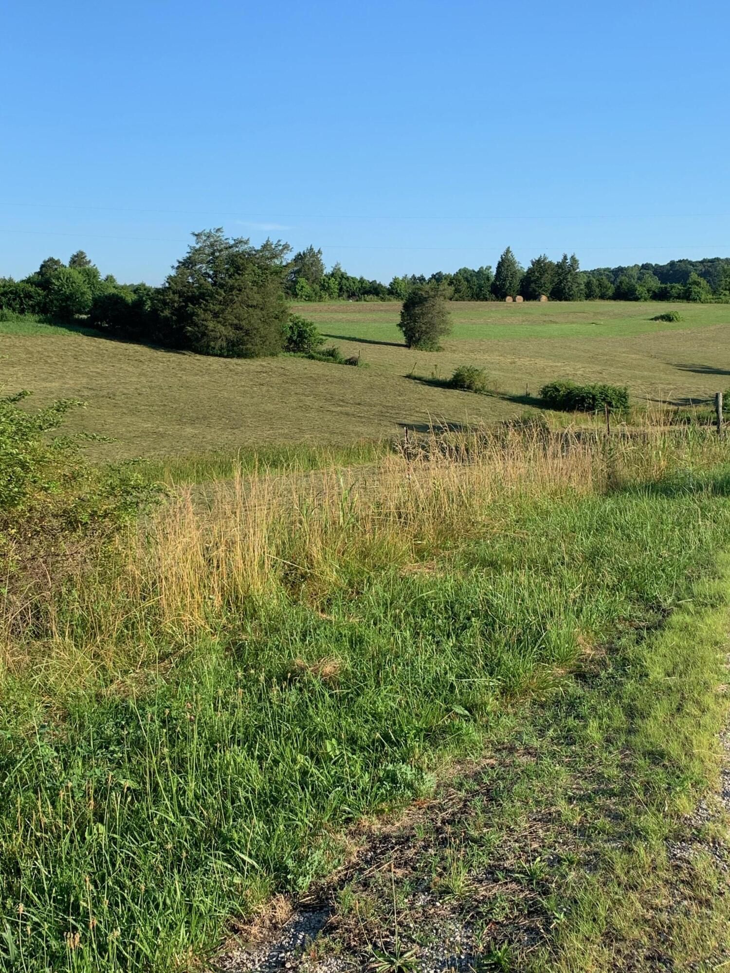 2190 Old Log Lick Road Winchester, KY 40391 - Photo 17 of 19 image2