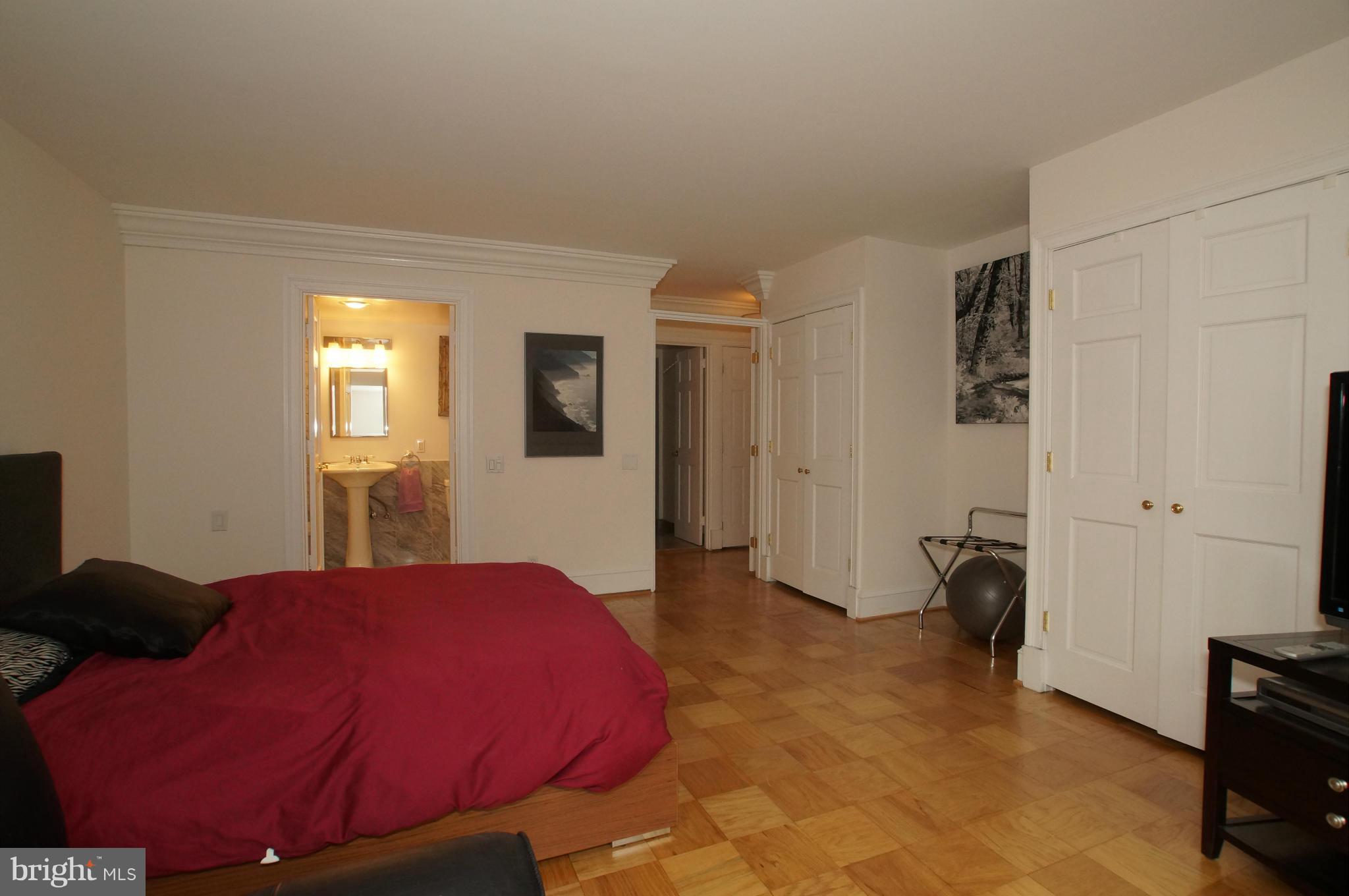 560 N Street Southwest, Unit N101 Washington, DC 20024 - Photo 13 of 27 Bedroom (Master)